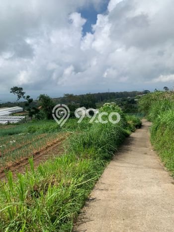 Tanah Siap Bangun Dijual di Tabanan Punya Luas 4900m2 Tanah Siap Bangun Dijual di Tabanan Punya Luas 4900m2