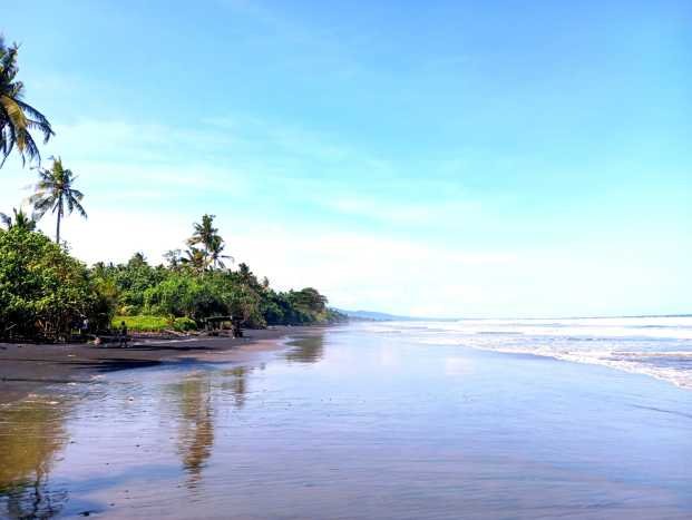 Lahan untuk Disewakan di Negara Jembrana SHM Lahan untuk Disewakan di Negara Jembrana SHM