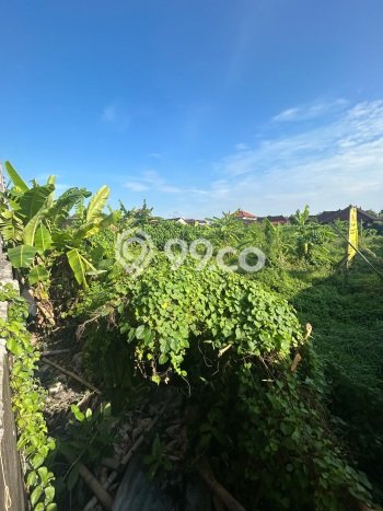 Tanah Kavling Dijual di Renon, Denpasar dengan Luas Tanah 438m2 Tanah Kavling Dijual di Renon, Denpasar dengan Luas Tanah 438m2