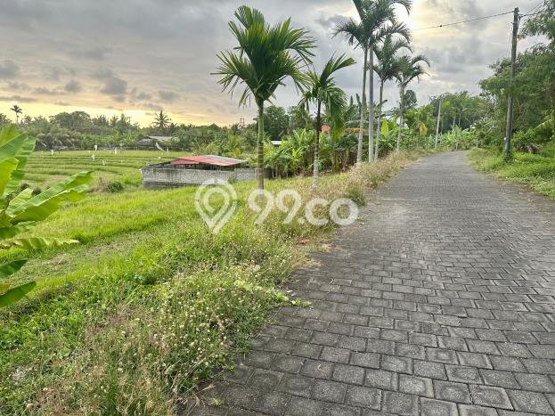 Tanah Strategis Dijual di Kerambitan Tabanan 5472m2 Tanah Strategis Dijual di Kerambitan Tabanan 5472m2