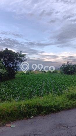 Dijual Tanah di Denpasar, Luas 2100m2 SHM Dijual Tanah di Denpasar, Luas 2100m2 SHM