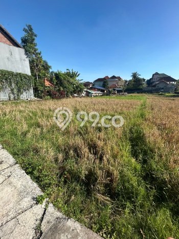 Kavling Tanah Lokasi Strategis di Ubud, Gianyar Disewakan 2000m2 Kavling Tanah Lokasi Strategis di Ubud, Gianyar Disewakan 2000m2