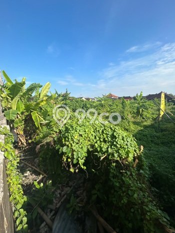 Tanah Kavling Dijual di Renon, Denpasar dengan Luas Tanah 438m2 Tanah Kavling Dijual di Renon, Denpasar dengan Luas Tanah 438m2