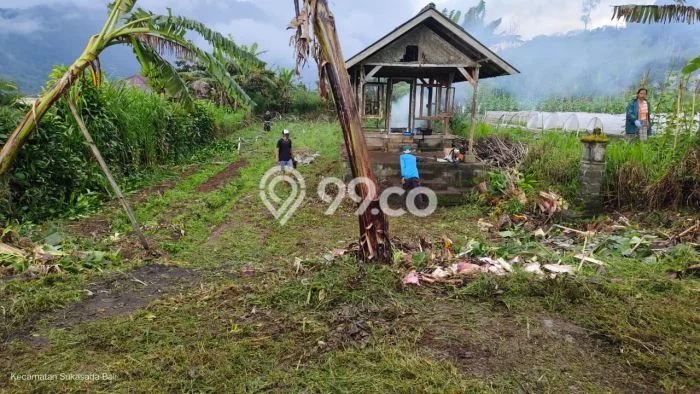 Tanah Strategis Dijual di Sukasada Buleleng 550m2 Tanah Strategis Dijual di Sukasada Buleleng 550m2