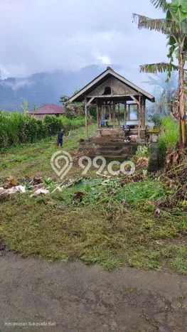 Tanah Strategis Dijual di Sukasada Buleleng 550m2 Tanah Strategis Dijual di Sukasada Buleleng 550m2