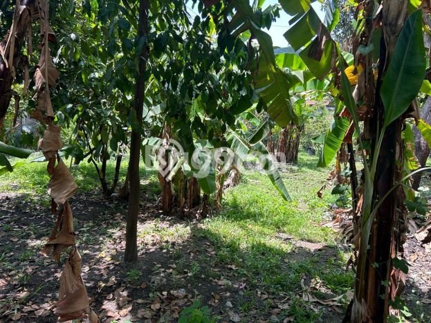 Tanah Dijual Lokasi Sanur, Denpasar Luas 11m2 Legalitas Aman Tanah Dijual Lokasi Sanur, Denpasar Luas 11m2 Legalitas Aman