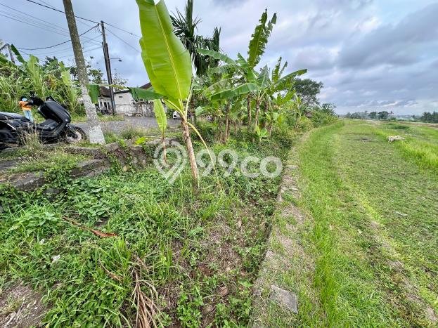 Tanah Strategis Dijual di Kerambitan Tabanan 5472m2 Tanah Strategis Dijual di Kerambitan Tabanan 5472m2