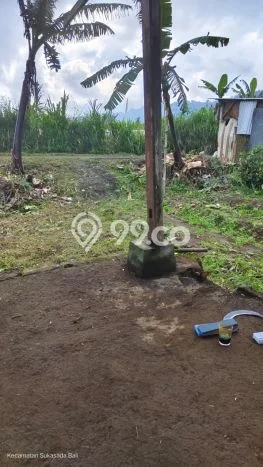 Tanah Strategis Dijual di Sukasada Buleleng 550m2 Tanah Strategis Dijual di Sukasada Buleleng 550m2