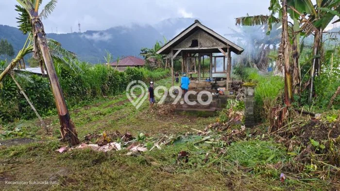 Tanah Strategis Dijual di Sukasada Buleleng 550m2 Tanah Strategis Dijual di Sukasada Buleleng 550m2