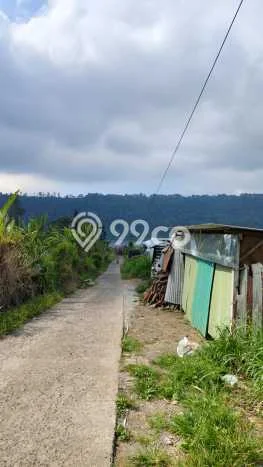 Tanah Strategis Dijual di Sukasada Buleleng 550m2 Tanah Strategis Dijual di Sukasada Buleleng 550m2