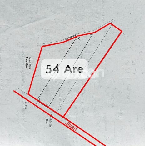 Lahan untuk Dijual di Beraban Tabanan Luas 5400m2 Lahan untuk Dijual di Beraban Tabanan Luas 5400m2