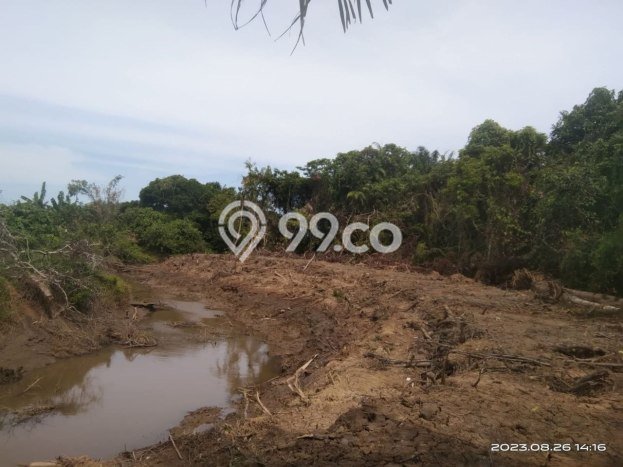 Tanah Dijual Lokasi Waru, Penajam Paser Utara dengan Luas Tanah 6031m2 dan Status SHM Tanah Dijual Lokasi Waru, Penajam Paser Utara dengan Luas Tanah 6031m2 dan Status SHM