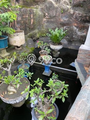 Dijual Rumah Premium dengan Fasilitas Sekitar Lengkap di Rungkut, Surabaya Dijual Rumah Premium dengan Fasilitas Sekitar Lengkap di Rungkut, Surabaya