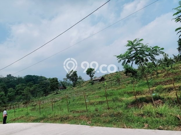 Kavling Tanah Dijual di Pacet Mojokerto Spesifikasi 1923m2 Kavling Tanah Dijual di Pacet Mojokerto Spesifikasi 1923m2