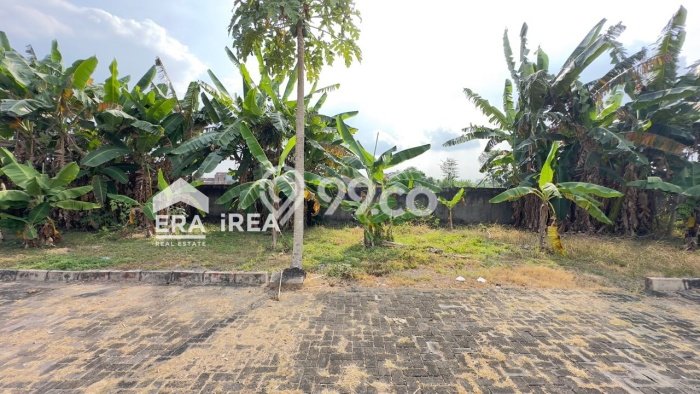 Tanah di Baki, Sukoharjo Luas 99m2 Dijual Segera Tanah di Baki, Sukoharjo Luas 99m2 Dijual Segera