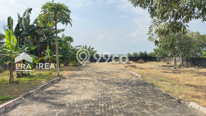 Tanah di Baki, Sukoharjo Luas 99m2 Dijual Segera Tanah di Baki, Sukoharjo Luas 99m2 Dijual Segera