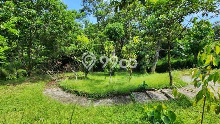 Rumah Luxury Modern Siap Huni di Sentul City Bogor Rumah Luxury Modern Siap Huni di Sentul City Bogor