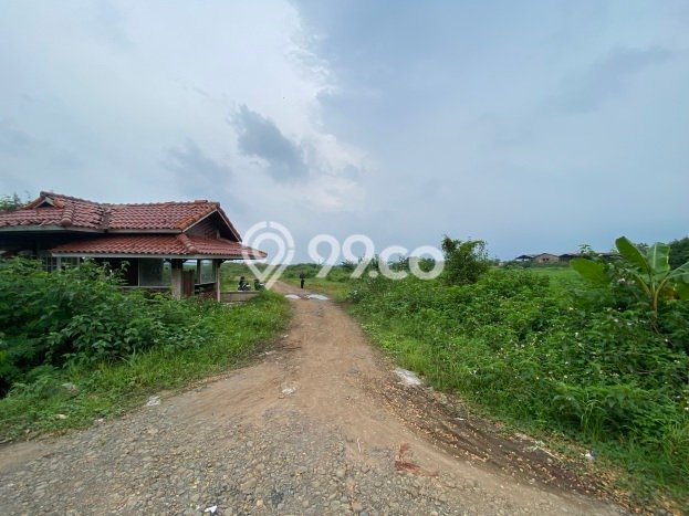 Untuk Dijual Tanah di Jatiwangi Majalengka Luas 200000m2 SHM Untuk Dijual Tanah di Jatiwangi Majalengka Luas 200000m2 SHM