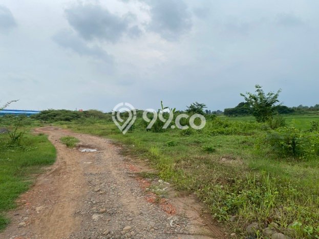 Untuk Dijual Tanah di Jatiwangi Majalengka Luas 200000m2 SHM Untuk Dijual Tanah di Jatiwangi Majalengka Luas 200000m2 SHM