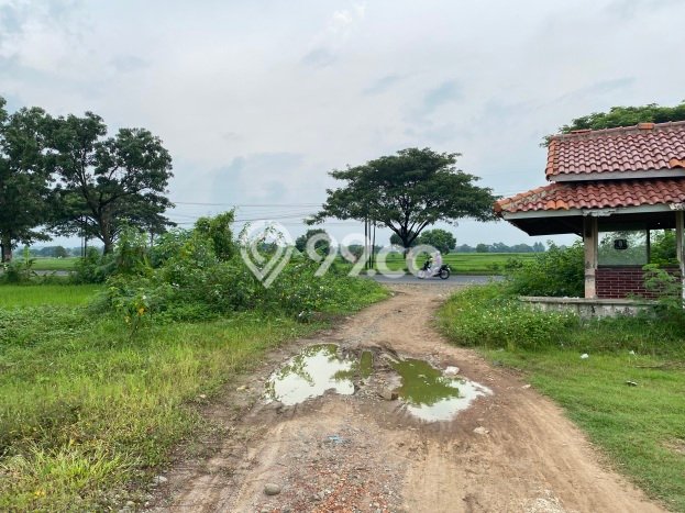 Untuk Dijual Tanah di Jatiwangi Majalengka Luas 200000m2 SHM Untuk Dijual Tanah di Jatiwangi Majalengka Luas 200000m2 SHM