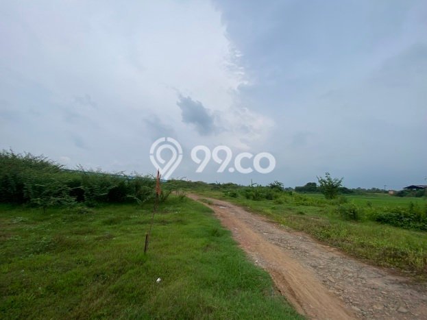 Untuk Dijual Tanah di Jatiwangi Majalengka Luas 200000m2 SHM Untuk Dijual Tanah di Jatiwangi Majalengka Luas 200000m2 SHM