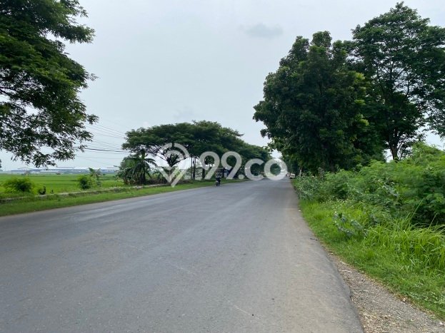 Untuk Dijual Tanah di Jatiwangi Majalengka Luas 200000m2 SHM Untuk Dijual Tanah di Jatiwangi Majalengka Luas 200000m2 SHM