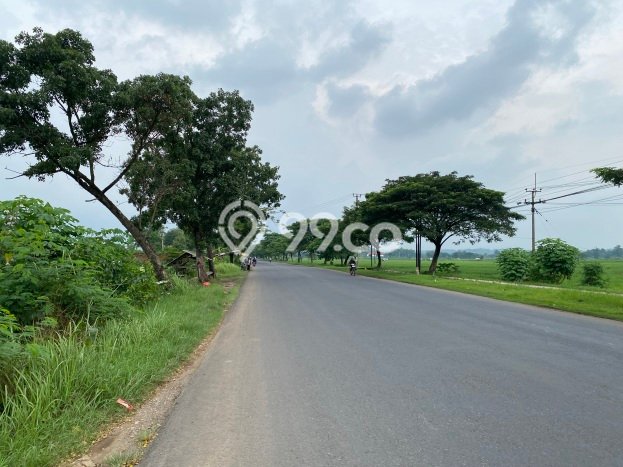 Untuk Dijual Tanah di Jatiwangi Majalengka Luas 200000m2 SHM Untuk Dijual Tanah di Jatiwangi Majalengka Luas 200000m2 SHM