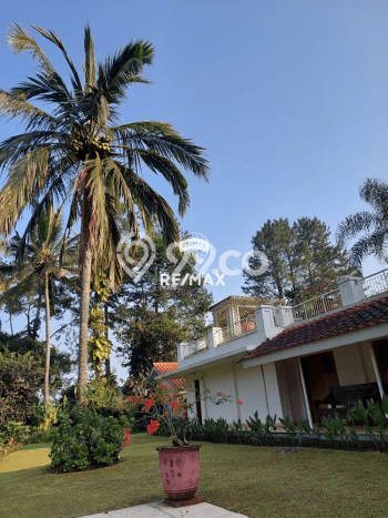 Available Vila untuk Disewa Kawasan Cisarua, Luas 11000m2m², Dekat Mudah Pusat Kota Available Vila untuk Disewa Kawasan Cisarua, Luas 11000m2m², Dekat Mudah Pusat Kota