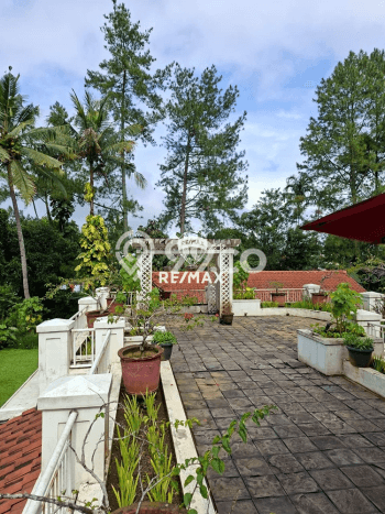Available Vila untuk Disewa Kawasan Cisarua, Luas 11000m2m², Dekat Mudah Pusat Kota Available Vila untuk Disewa Kawasan Cisarua, Luas 11000m2m², Dekat Mudah Pusat Kota
