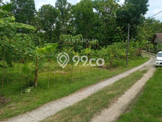 Tanah Kavling di Gamping Dijual dengan Luas 1778m2 Tanah Kavling di Gamping Dijual dengan Luas 1778m2