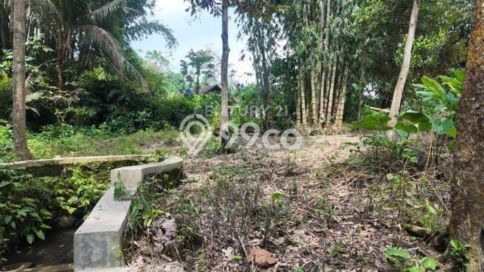 Tanah Dijual Lokasi Turi, Sleman Luas 799m2 Legalitas Aman Tanah Dijual Lokasi Turi, Sleman Luas 799m2 Legalitas Aman