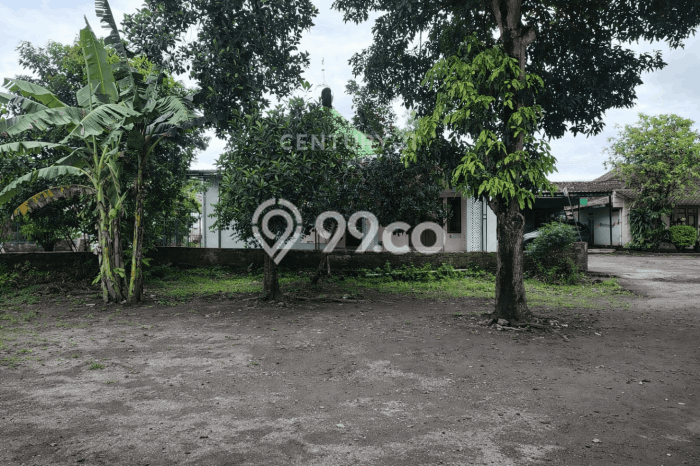 Tanah di Kalasan, Sleman Luas 299m2 Dijual Segera Tanah di Kalasan, Sleman Luas 299m2 Dijual Segera