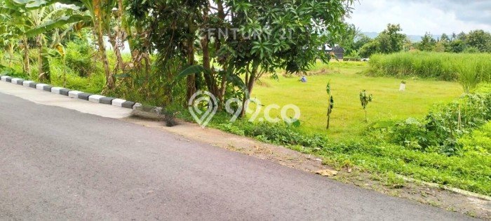 Lahan Kosong Dijual di Bantul dengan Area 1358m2 Lahan Kosong Dijual di Bantul dengan Area 1358m2