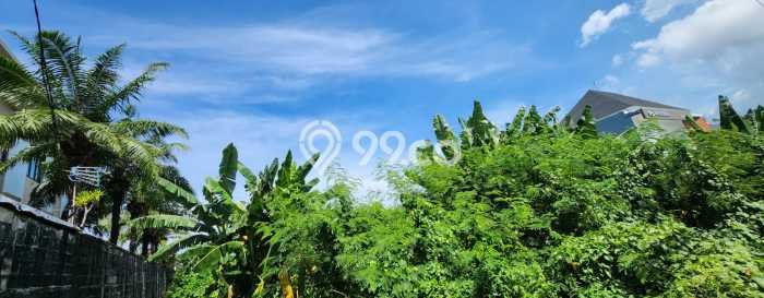 Jarang Ada! Tanah Kavling Disewakan di Badung 1600m2 Jarang Ada! Tanah Kavling Disewakan di Badung 1600m2