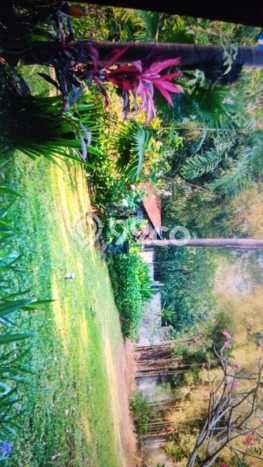 SEWA TANAH! Tanah di Mengwi, Luas 1019m², Akses Mainroad SEWA TANAH! Tanah di Mengwi, Luas 1019m², Akses Mainroad