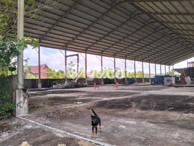 Disewakan Gudang di Sungai Raya Kubu Raya LT 3150m2, LB 2520m2 Disewakan Gudang di Sungai Raya Kubu Raya LT 3150m2, LB 2520m2