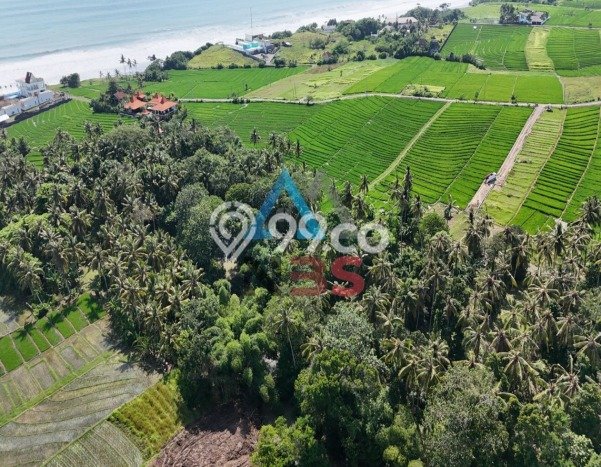 Tanah Area Berkembang di Beraban, Luas 300m2m², Ideal untuk Bisnis Tanah Area Berkembang di Beraban, Luas 300m2m², Ideal untuk Bisnis
