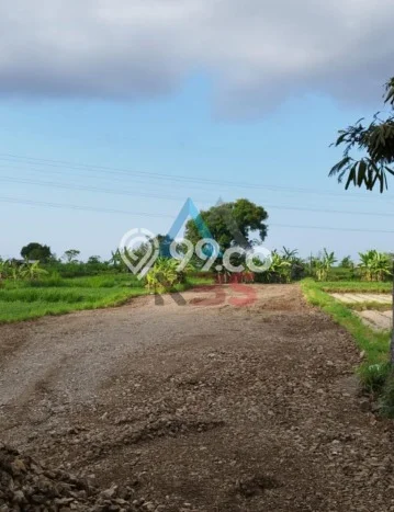 LOKASI STRATEGIS! Tanah di Ketewel, Luas 2484m2m², Kawasan Potensial, Cocok untuk Investasi LOKASI STRATEGIS! Tanah di Ketewel, Luas 2484m2m², Kawasan Potensial, Cocok untuk Investasi