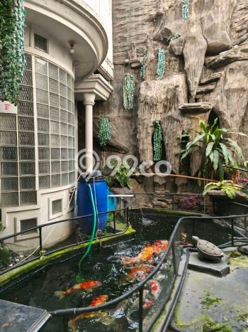 Siap Huni Rumah Mewah 6 Kamar di Regol Dekat ke Mana Saja Siap Huni Rumah Mewah 6 Kamar di Regol Dekat ke Mana Saja