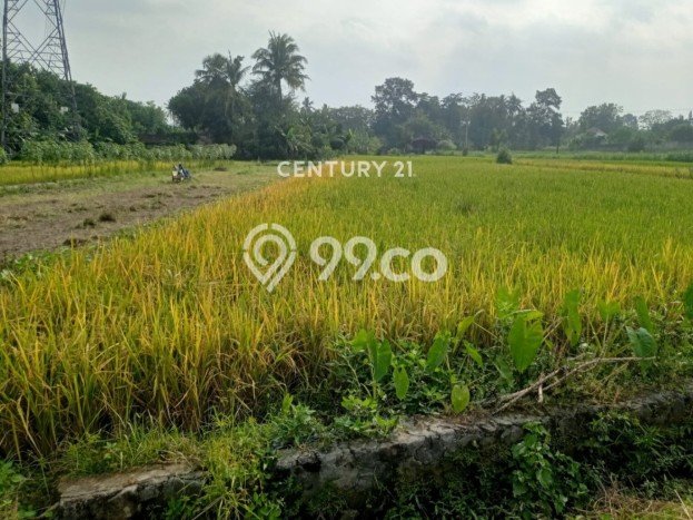 Tanah di Ngemplak, Sleman Luas 2080m2 Dijual Segera Tanah di Ngemplak, Sleman Luas 2080m2 Dijual Segera