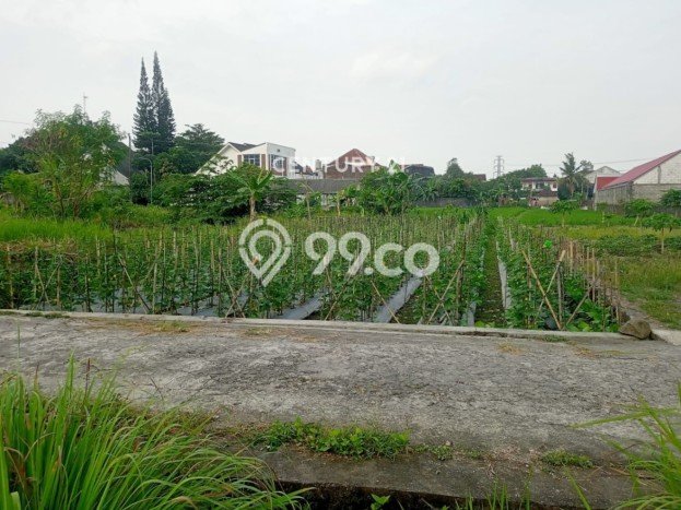 Tanah di Ngemplak, Sleman Luas 2080m2 Dijual Segera Tanah di Ngemplak, Sleman Luas 2080m2 Dijual Segera