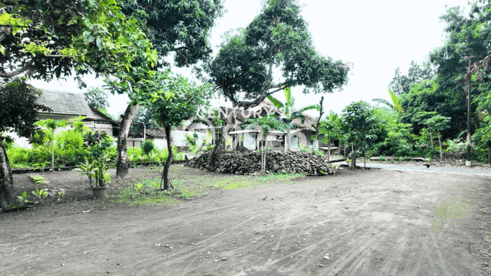 Tanah Dijual Lokasi Prambanan, Sleman dengan Luas Tanah 714m2 dan Status SHM Tanah Dijual Lokasi Prambanan, Sleman dengan Luas Tanah 714m2 dan Status SHM