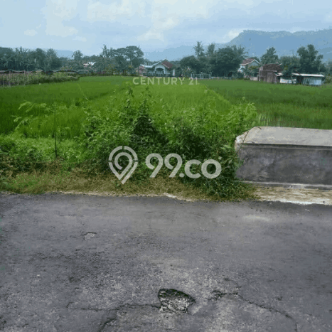Tanah Kavling untuk Dijual di Piyungan Bantul 586m2 Tanah Kavling untuk Dijual di Piyungan Bantul 586m2