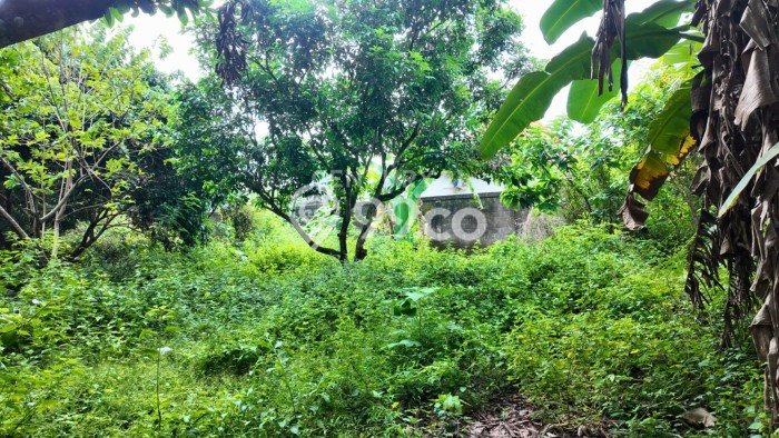 Lahan Strategis di Ngaglik Dijual dengan Luas 742m2 Lahan Strategis di Ngaglik Dijual dengan Luas 742m2