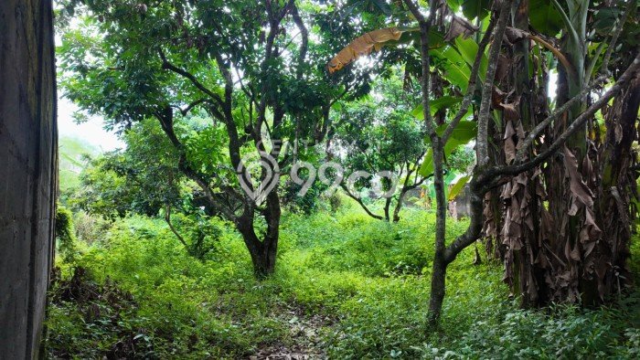 Lahan Strategis di Ngaglik Dijual dengan Luas 742m2 Lahan Strategis di Ngaglik Dijual dengan Luas 742m2