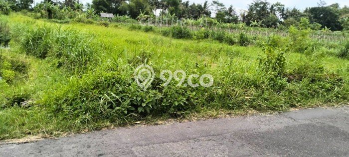 Kavling Tanah di Pakem Dijual Luas 2746m2 Legalitas SHM Kavling Tanah di Pakem Dijual Luas 2746m2 Legalitas SHM