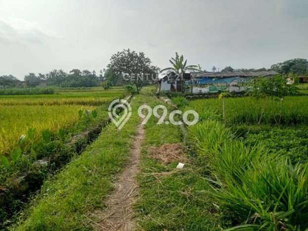 Tanah di Ngemplak, Sleman Luas 2080m2 Dijual Segera Tanah di Ngemplak, Sleman Luas 2080m2 Dijual Segera