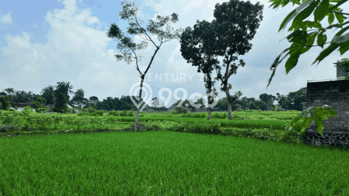 Tanah untuk Dijual di Manisrenggo Klaten Luas 1840m2 Tanah untuk Dijual di Manisrenggo Klaten Luas 1840m2