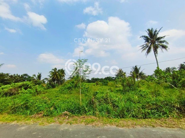 Tanah untuk Dijual di Pakem Sleman Luas 3255m2 Tanah untuk Dijual di Pakem Sleman Luas 3255m2