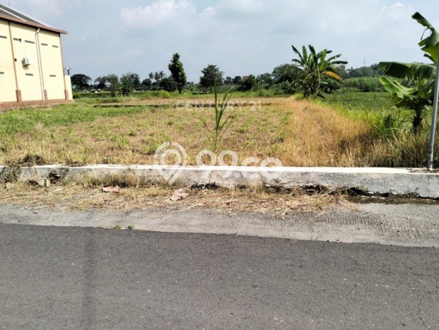 Kavling Tanah Dijual di Banguntapan Bantul Spesifikasi 1369m2 Kavling Tanah Dijual di Banguntapan Bantul Spesifikasi 1369m2